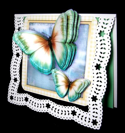 Stunning Beige and Green Butterflys  by Dianne Jackson