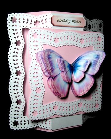 Stunning Pink and Blue Butterfly's  by Dianne Jackson