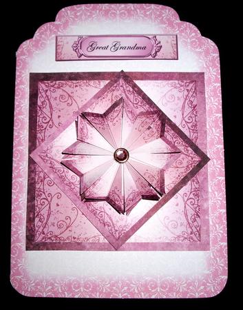 Nature 8in Card Front & Text Plate (rose) by Dianne Jackson