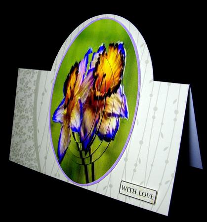 Beautiful Lilac Tinged Daffodils in Pyramid by Dianne Jackson