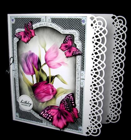 Tulips by Dianne Jackson