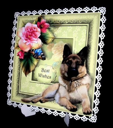 Floral Paw Prints - German Shepherd by Dianne Jackson