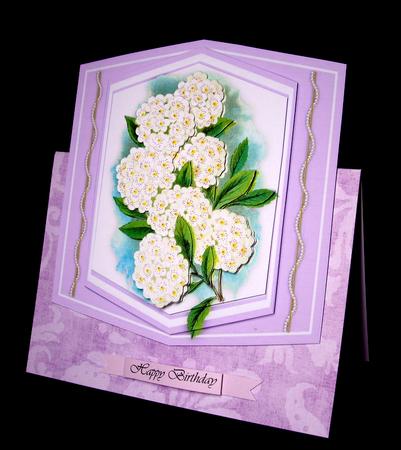 Beautiul White Flowers and Pearls by Dianne Jackson