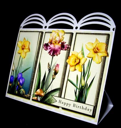 Beautiful Flowers Card by Dianne Jackson
