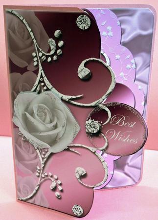 Rose Pack by Di Simpson