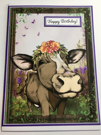 2 Unexpected garden visitors card fronts by Donna Girling