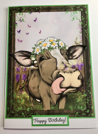 2 Unexpected garden visitors card fronts by Donna Girling