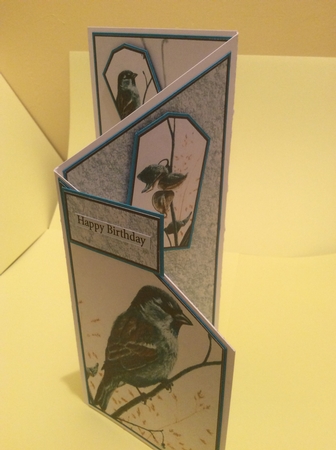 Blue Bird Cascade by Donna Girling