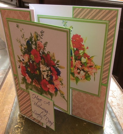 Flower Blooms by Donna Girling