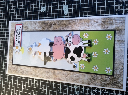 Farm Animal Frolics Large Dl by Donna Girling