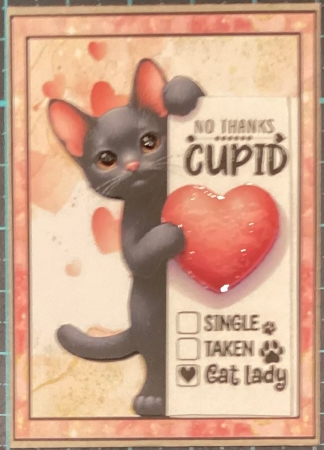 My Cat is my Valentine. Featured Gallery Photo