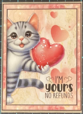 My Cat is my Valentine.  by Donna Ritchie