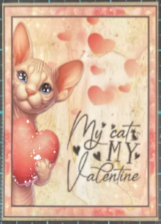 My Cat is my Valentine.  Featured Gallery Photo