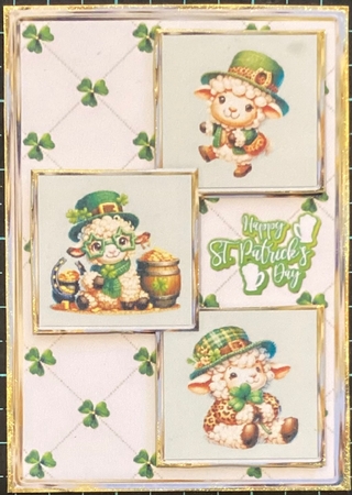 St Patricks Galway Sheep Three Square Quick Card by Donna Ritchie