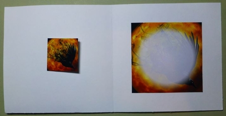 Ancient Magic - Mystic Raven 2 Pyrimage + Insert & Tag by Donna Ritchie