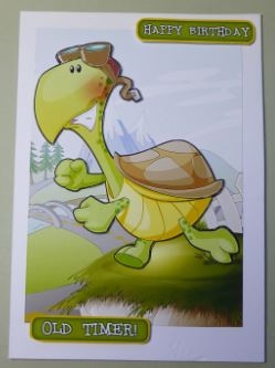 Old Timer Turtle by Donna Ritchie