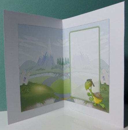 Old Timer Turtle Insert by Donna Ritchie