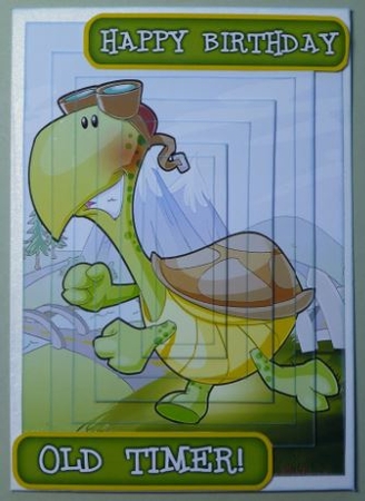 Old Timer Turtle Pyramid by Donna Ritchie