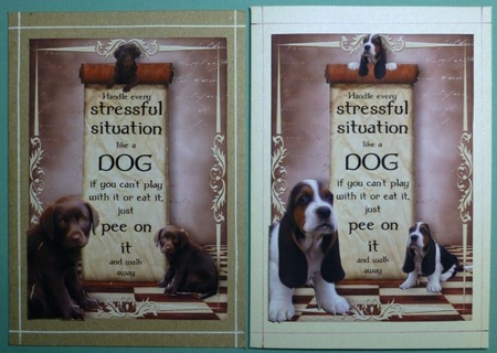 Handle Every Situation Like A Dog.... Bumper Kit 1 by Donna Ritchie