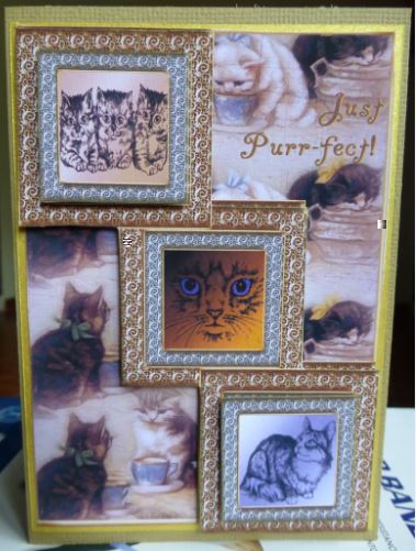 Just Purr-fect! Cat Trio Pyramid Card by Donna Ritchie