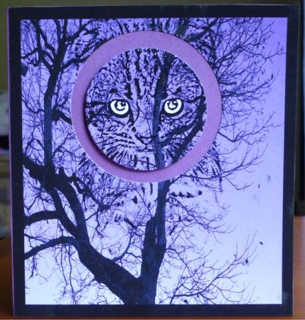 Cats Memories Large Topper 4 by Donna Ritchie