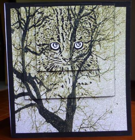 Cats Memories Large Topper 8 by Donna Ritchie