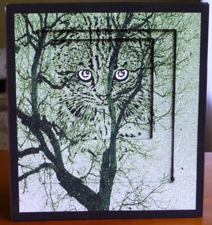 Cats Memories Large Topper 7 by Donna Ritchie
