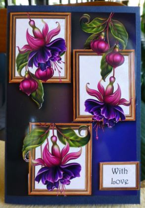 Fabulous Fuschias Frame Trio by Donna Ritchie