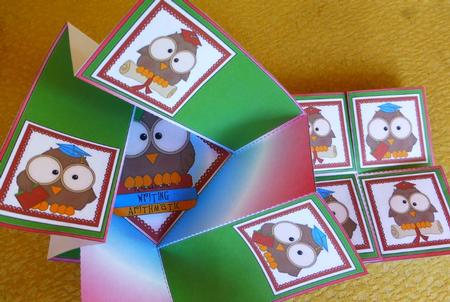 Twist Turn Topper - Studious Owls by Donna Ritchie