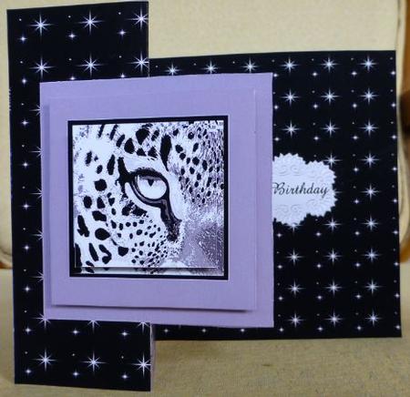 Eye of the Tiger Black & White Fold Back by Donna Ritchie