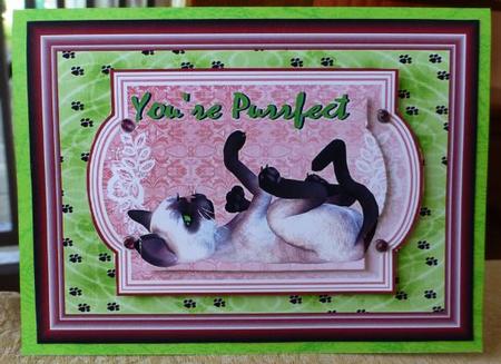 You're Purrfect Green Eyed Siamese Cat by Donna Ritchie
