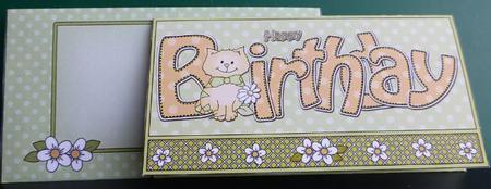 Birthday Little Cat Money or Gift Wallet Card Kit by Donna Ritchie