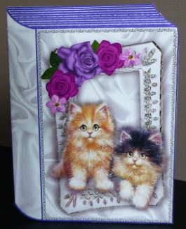 Cute Little Kittens in Silver Frame Folded Book by Donna Ritchie