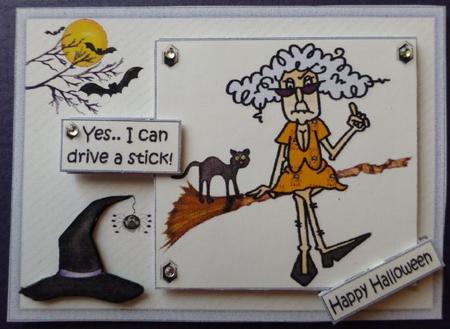 Stella Can Drive a Stick Halloween/birthday Quick Card by Donna Ritchie