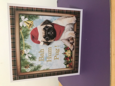 Bah Hum-Pug by Doreen Bell