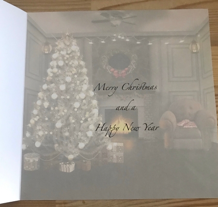 1st Christmas (male) by Doreen Bell