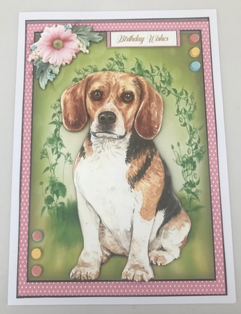 Beautiful Beagle Dog  by Doreen Bell