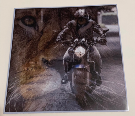 Lion Power Bike Topper by Doreen Bell