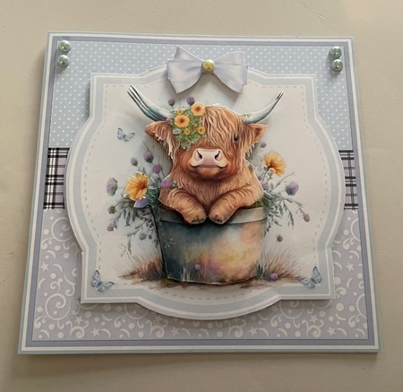 PRETTY HIGHLAND COWS by Doreen Bell
