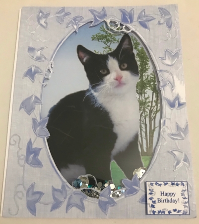 Black and White Kitten Cat Shaker Card, Frame, Sentiments An by Doreen Bell