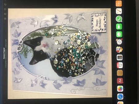 Black and White Kitten Cat Shaker Card, Frame, Sentiments An by Doreen Bell