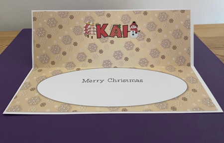 Cute Snowman Kai Large Dl by Doreen Bell
