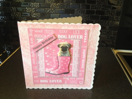 Puppy in Boots by Doreen Bell