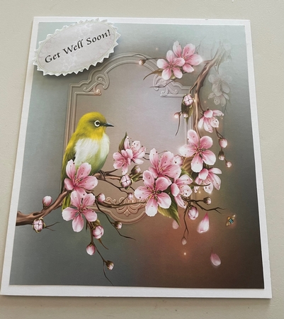 Get Well Soon by Doreen Bell