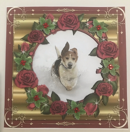 BEAGLE IN THE SNOW  by Doreen Bell