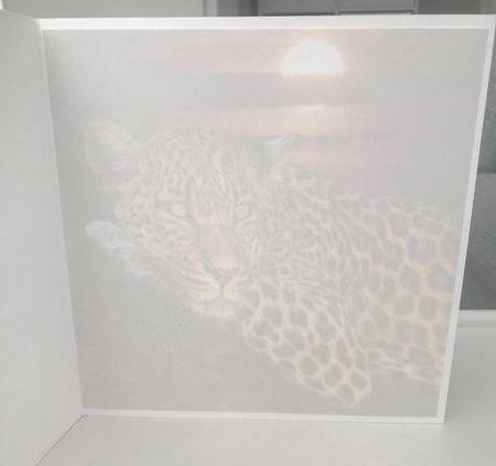 cant sleep by Doreen Bell