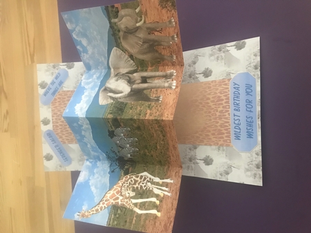SERENGETI SAFARI TWIST & POP BIRTHDAY CARD KIT by Doreen Bell