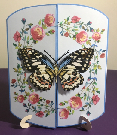 Rambling Roses 3 Panel Gatefold Card Kit - Get Well Soon by Doreen Bell