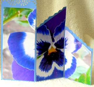 Blue Pansy Cascade Card by Dorothy Manchester