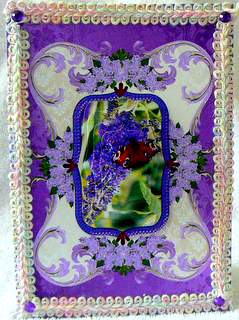 Peacock Butterfly on Lilac by Dorothy Manchester